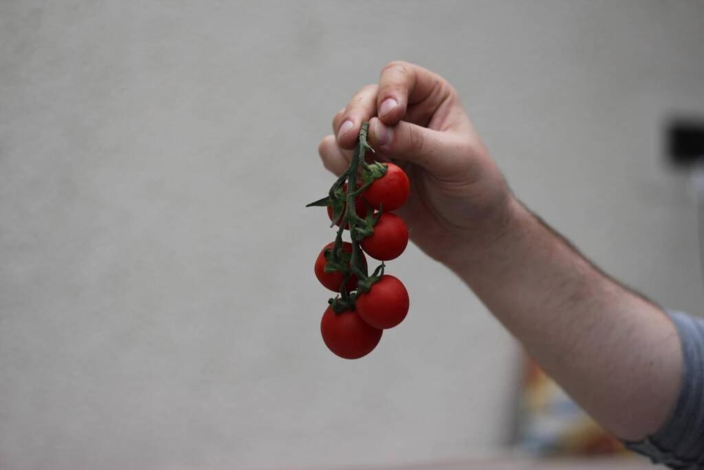 Balla Mama, Hajdúszoboszló Buitenkant foto